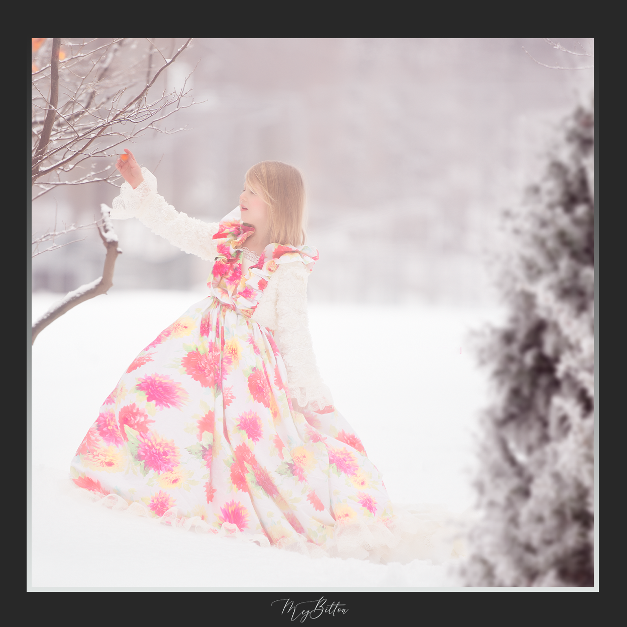 Magical Shoot Through - Frosted Bush - Meg Bitton Productions