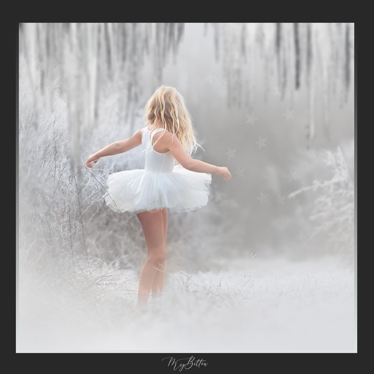 Magical Shoot Through - Icicles - Meg Bitton Productions