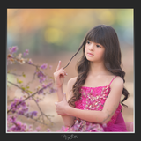 Magical Shoot Through - Low Blossom Branches - Meg Bitton Productions