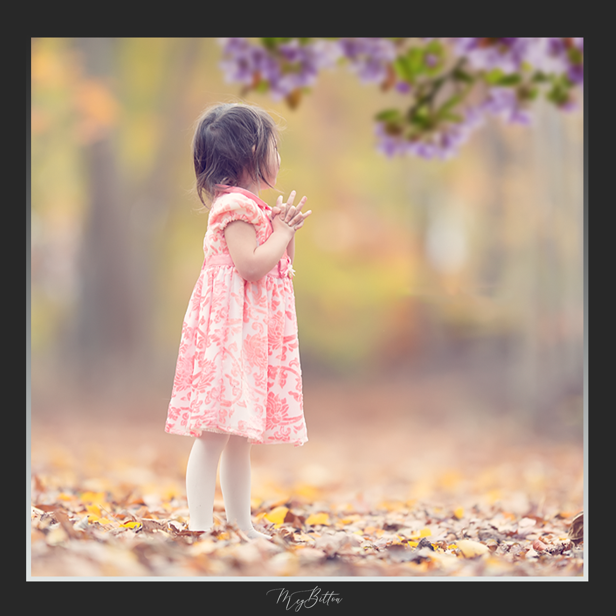 Magical Shoot Through - Purple Blossoms - Meg Bitton Productions