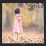 Magical Shoot Through - Purple Blossoms - Meg Bitton Productions