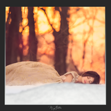 Magical Shoot Through - Snow Mounds - Meg Bitton Productions