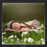 Magical Shoot Through - White Roses - Meg Bitton Productions