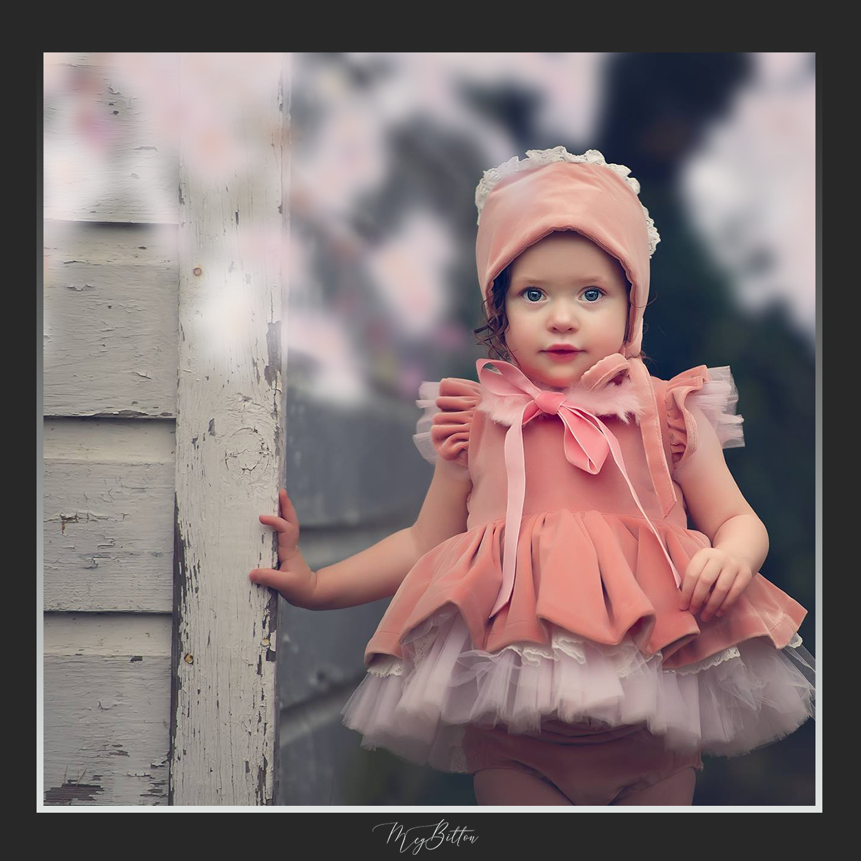 Magical Shoot Through - Cherry Blossoms - Meg Bitton Productions