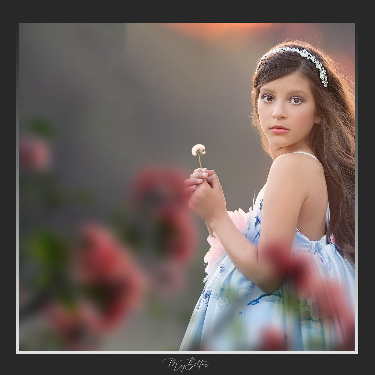 Magical Shoot Through - Floral Tree - Meg Bitton Productions