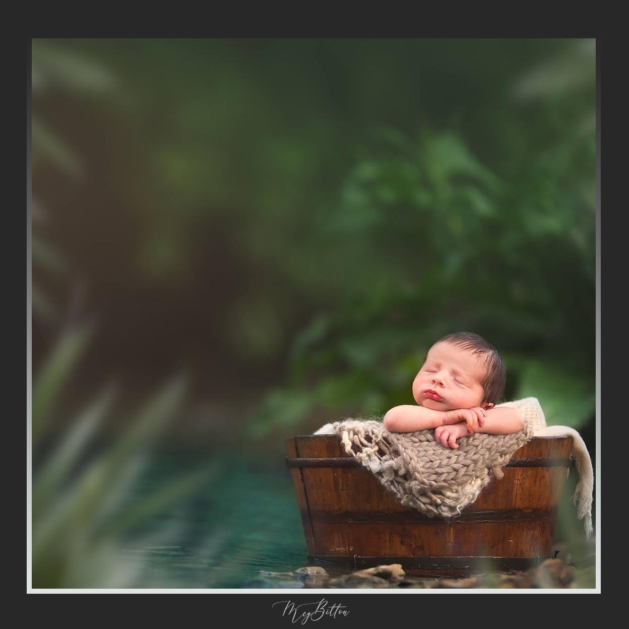 Magical Shoot Through - Green Foliage - Meg Bitton Productions