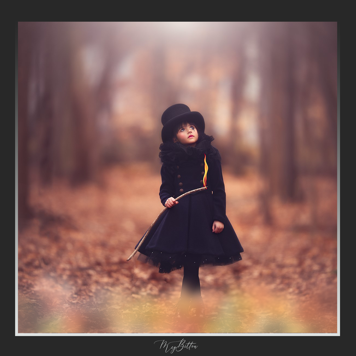 Magical Shoot Throughs - Multicolored Autumn Leaves - Meg Bitton Productions