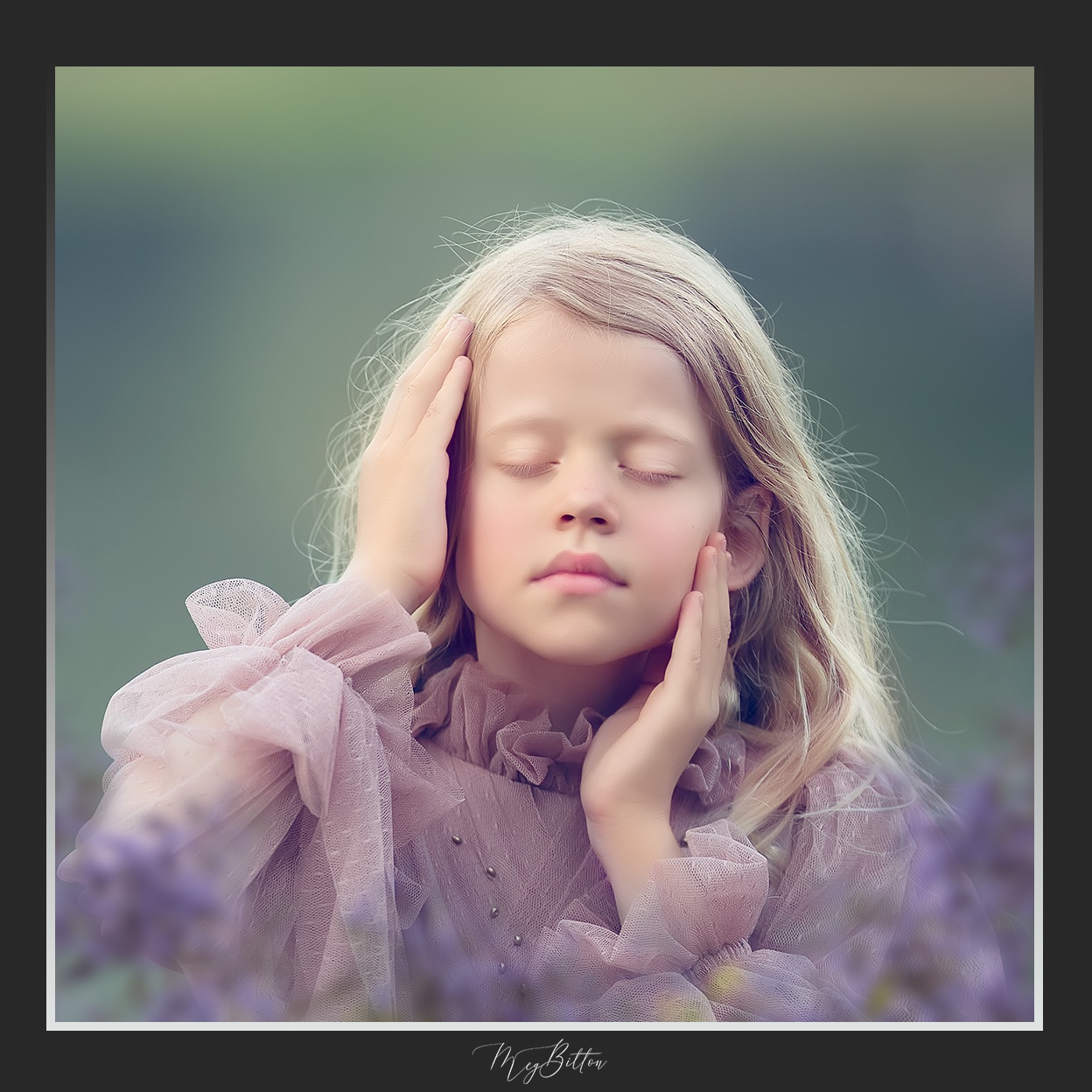 Magical Shoot Throughs - Purple Flower Tree - Meg Bitton Productions