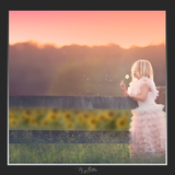 Magical Shoot Through - Sunflower Field - Meg Bitton Productions