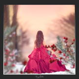 Magical Shoot Throughs - Winter Berries - Meg Bitton Productions