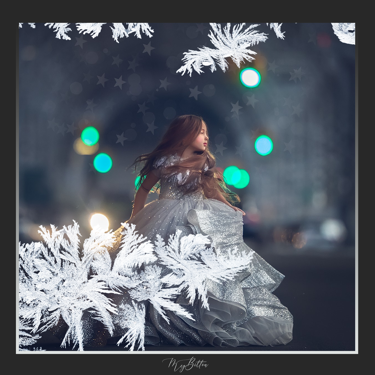 Magical Shoot Throughs - Winter Frost - Meg Bitton Productions