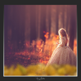 Magical Shoot Throughs - Yellow Autumn Leaves - Meg Bitton Productions