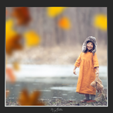 Magical Shoot Throughs - Yellow Falling Leaves - Meg Bitton Productions