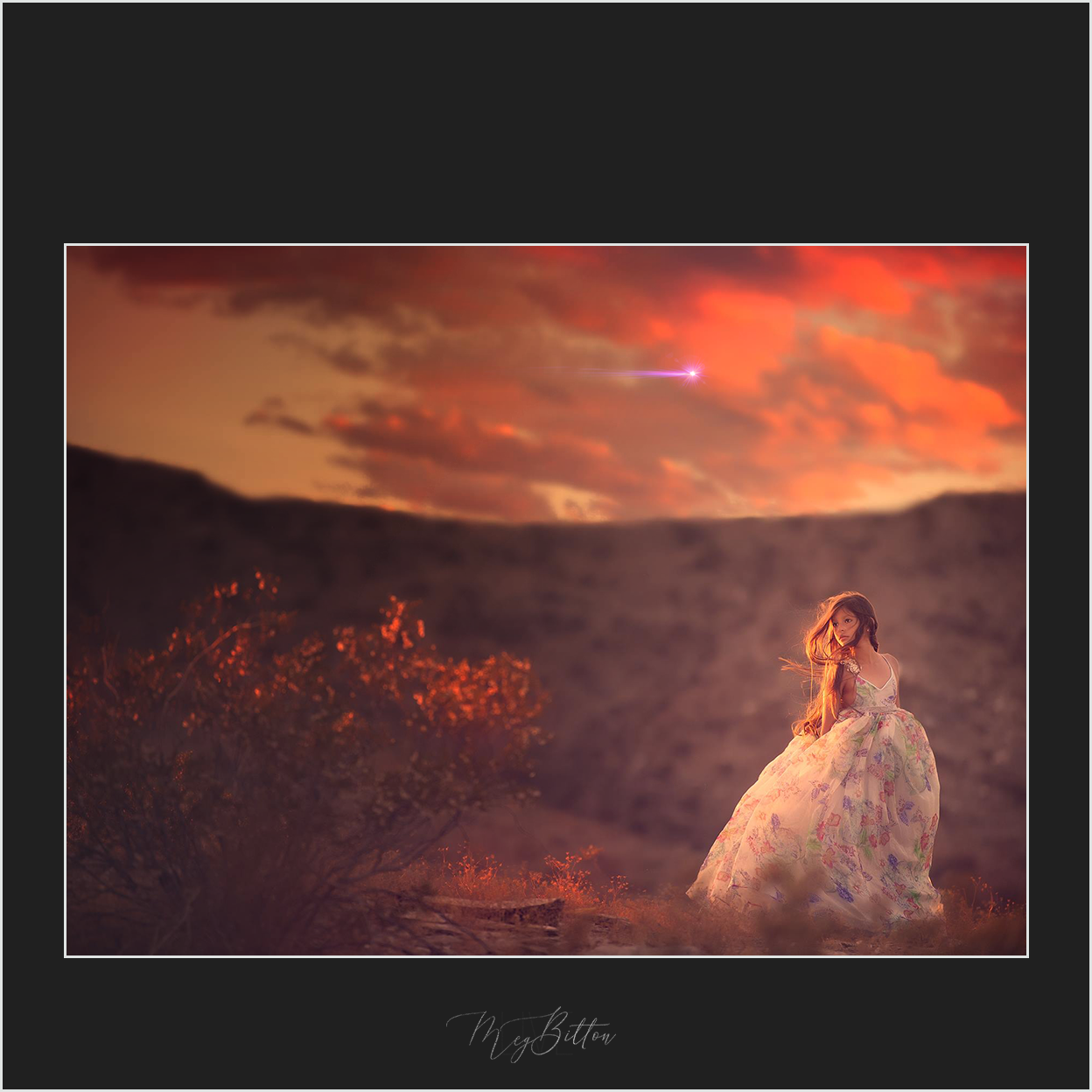 Magical Winterly Shooting Star Overlay - Meg Bitton Productions