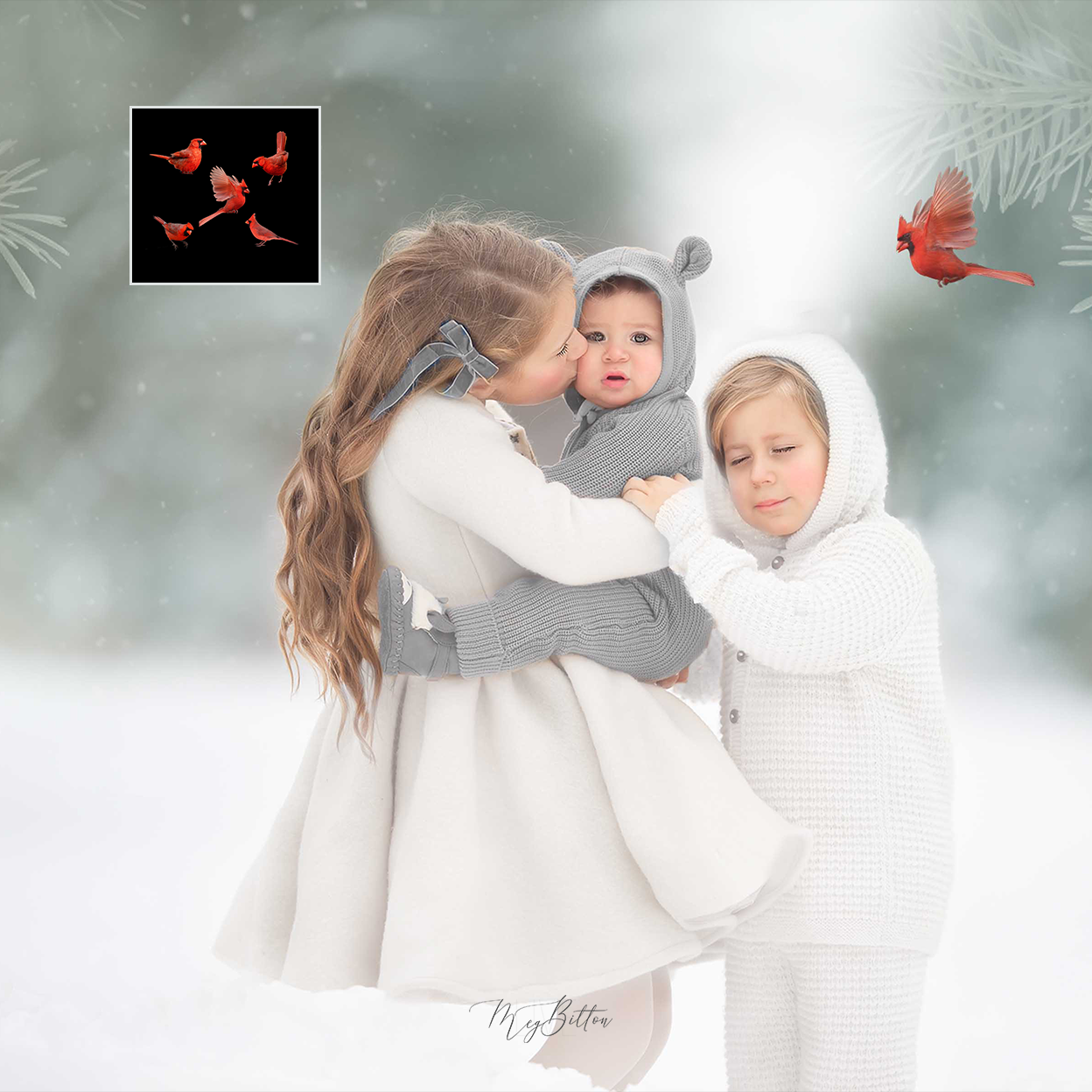 Mixer Brush: Cardinals - Meg Bitton Productions