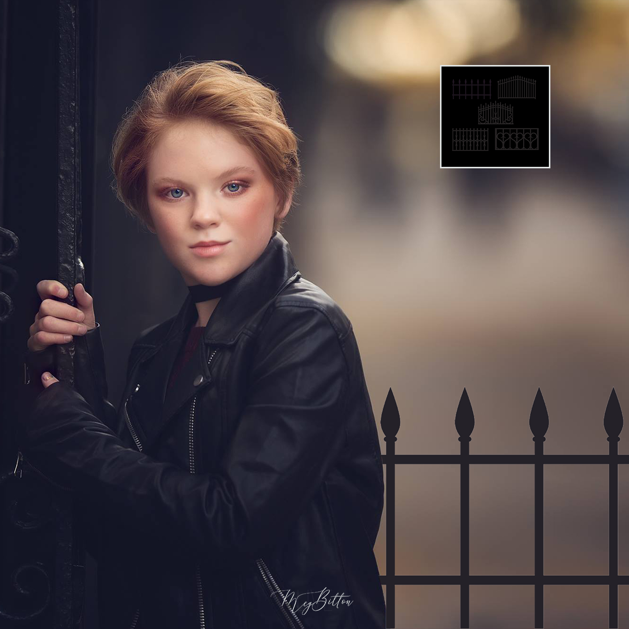 Mixer Brush: Iron Fences - Meg Bitton Productions