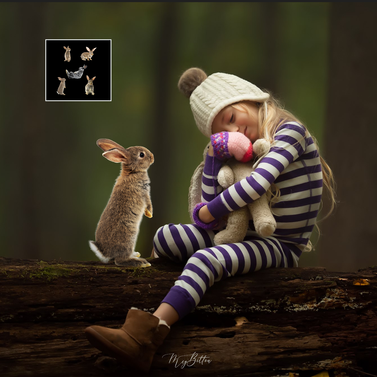 Mixer Brush: Rabbits - Meg Bitton Productions