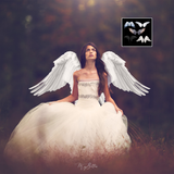 Mixer Brush: Wings - Meg Bitton Productions