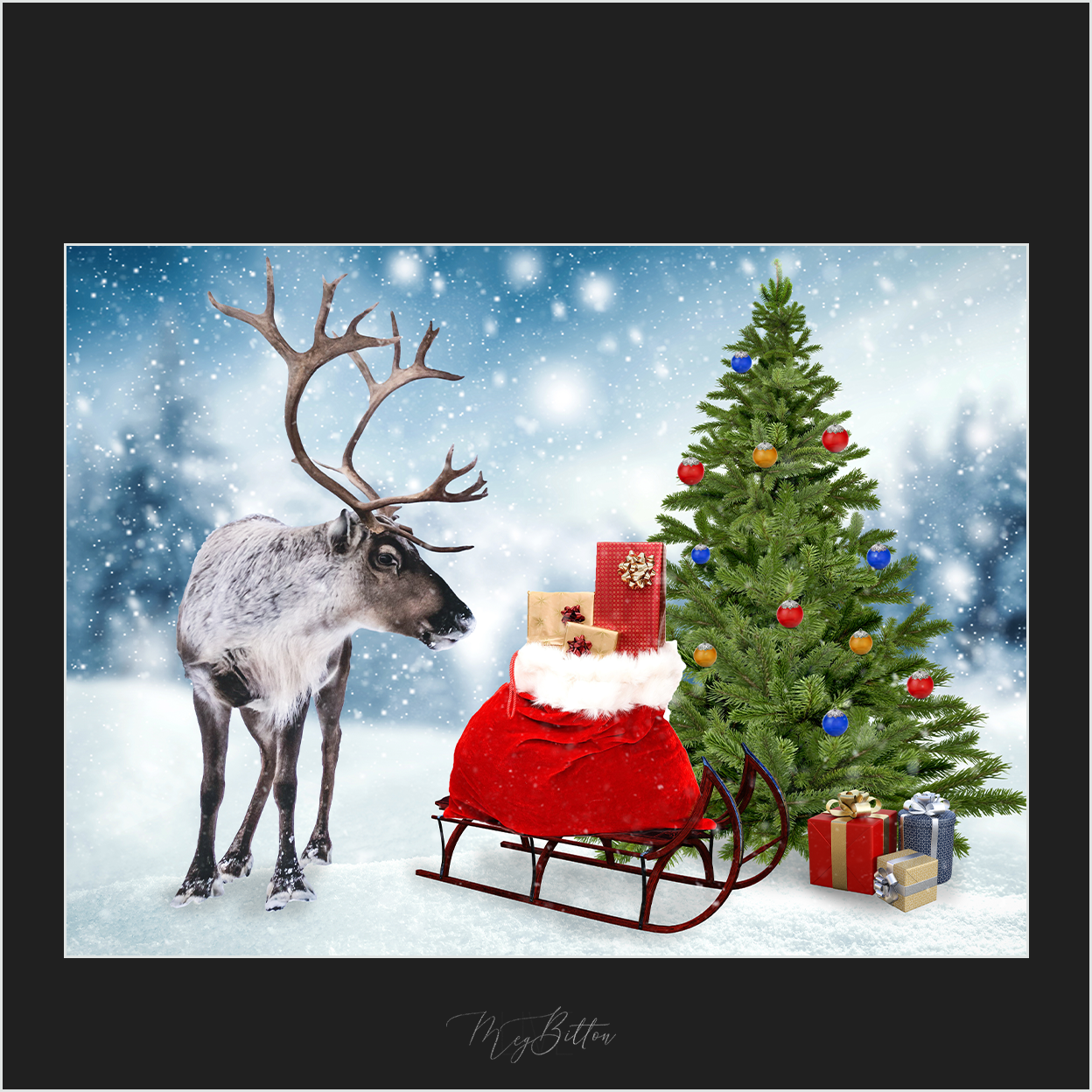 Magical Holiday Overlays - Meg Bitton Productions