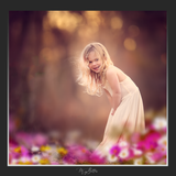 Magical Shoot Through - Valentine Wildflowers - Meg Bitton Productions