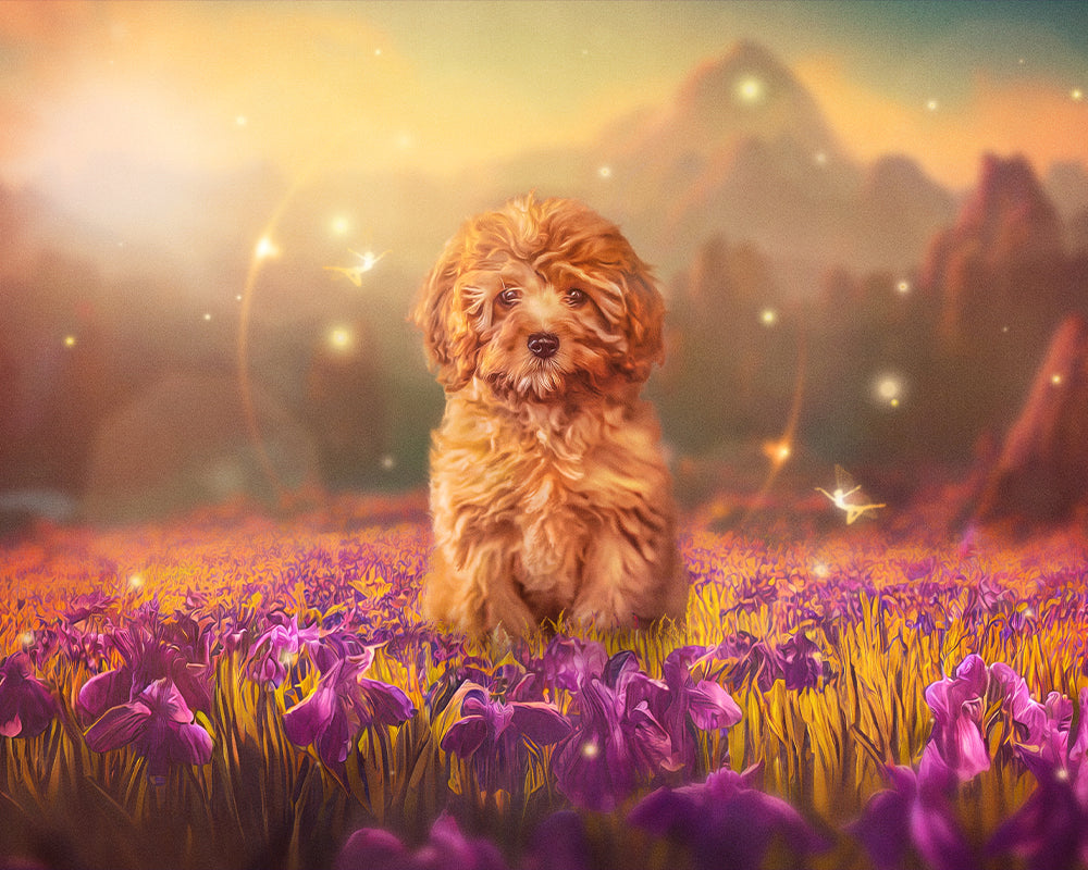 River the Pup - Meg Bitton Productions