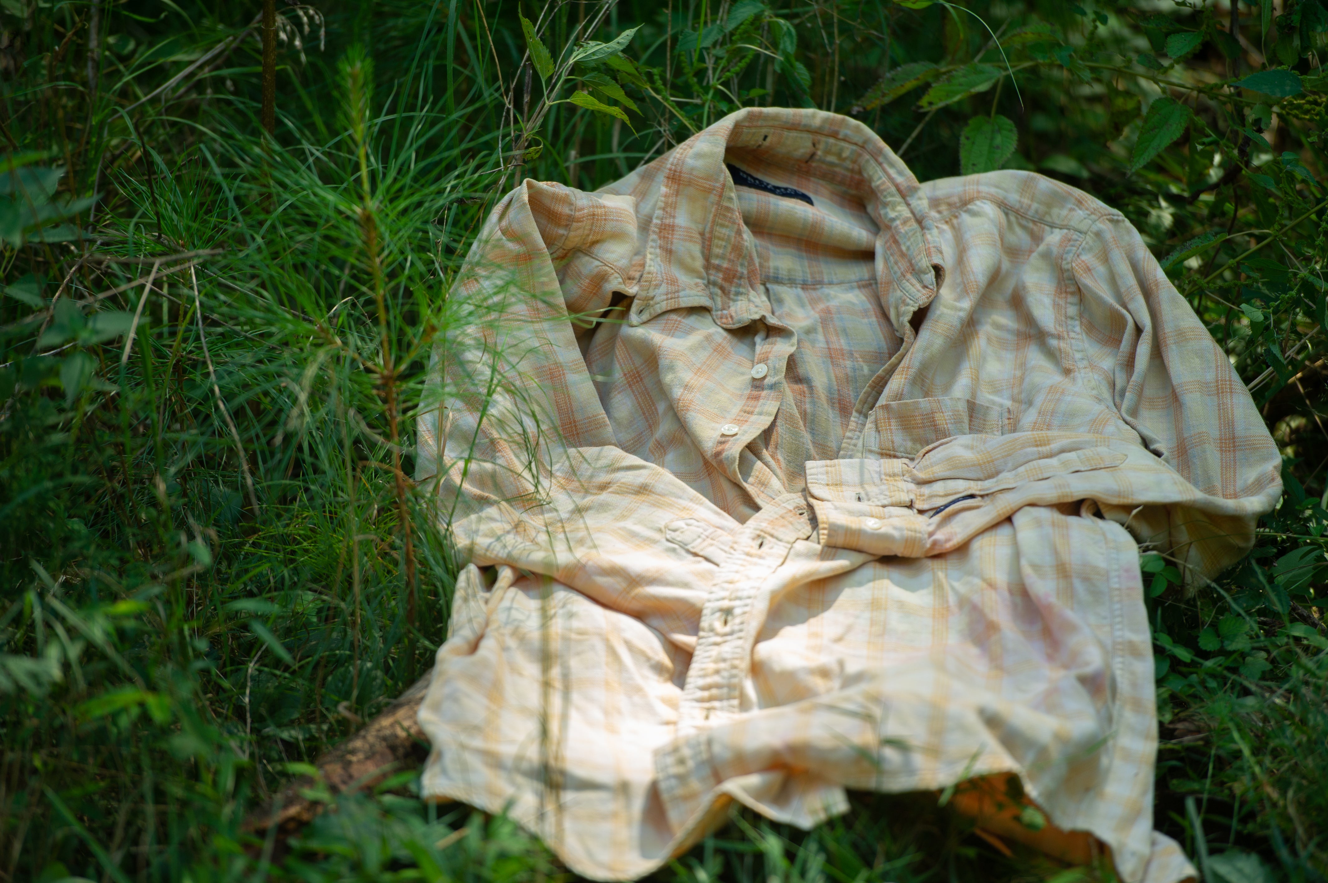 Magical Flannel XL Number 2 - Meg Bitton Productions