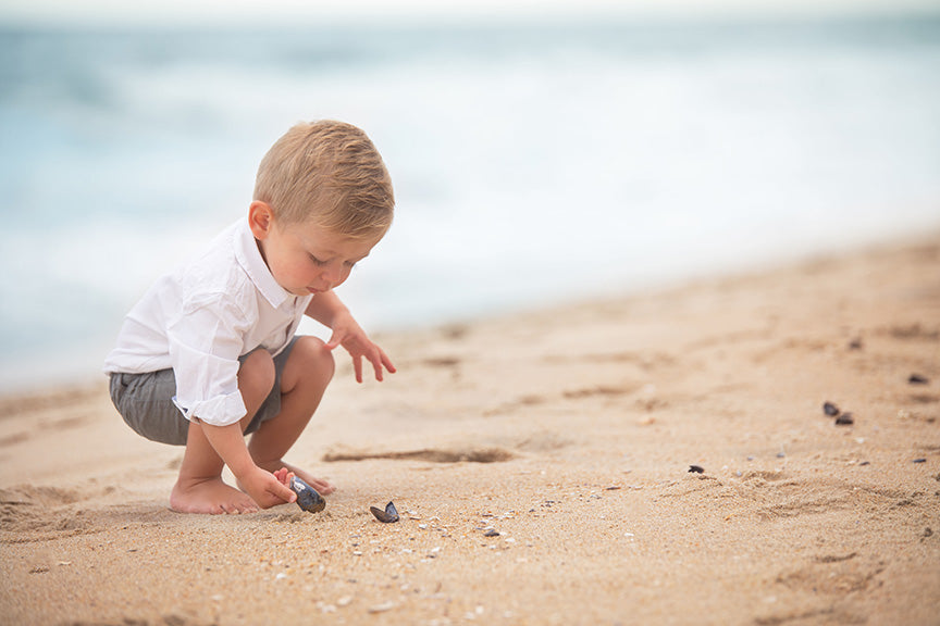 Beach Boy - Meg Bitton Productions