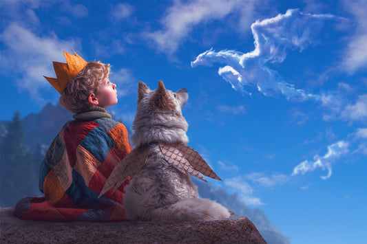 The Composite Vault: Cloud Gazing