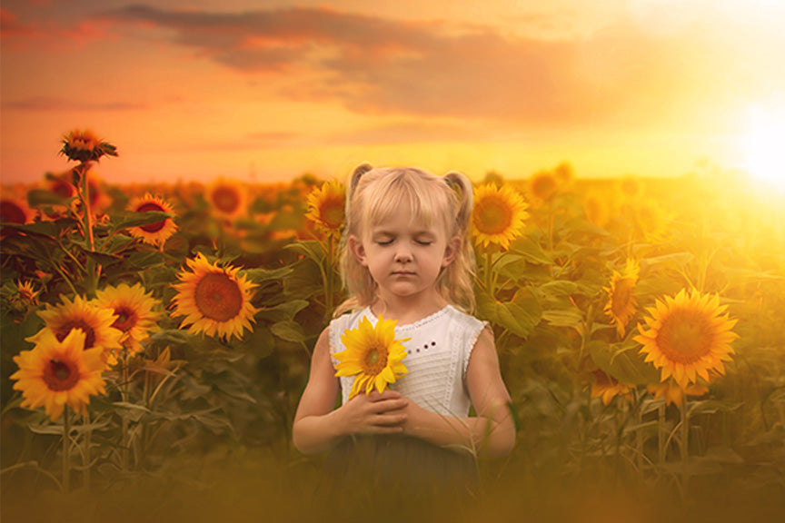 Golden Sunflowers