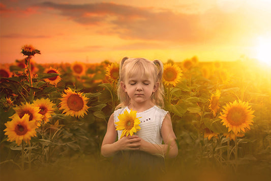 Golden Sunflowers - Meg Bitton Productions