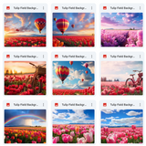 Ultimate Tulip Fields Background Bundle