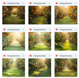 Ultimate Orange Grove Background Bundle