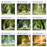 Ultimate Willow Tree Background Bundle