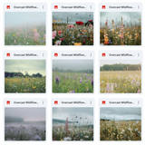 Ultimate Overcast Meadows Background Bundle