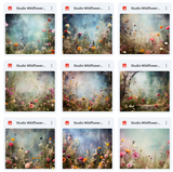 Ultimate Studio Wildflowers Background Bundle