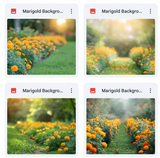 Ultimate Marigold Background Bundle