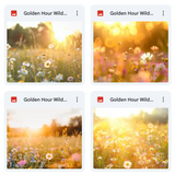 Ultimate Golden Hour Wildflowers Background Bundle