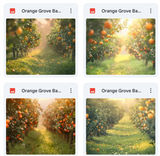 Ultimate Orange Grove Background Bundle