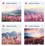 Ultimate Heather Fields Background Bundle