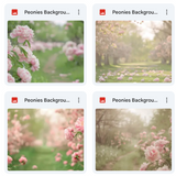 Ultimate Peonies Background Bundle