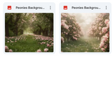Ultimate Peonies Background Bundle