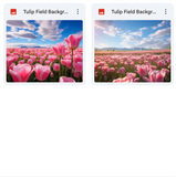 Ultimate Tulip Fields Background Bundle