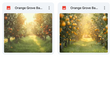 Ultimate Orange Grove Background Bundle