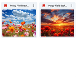 Ultimate Poppy Field Background Bundle