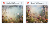 Ultimate Studio Wildflowers Background Bundle