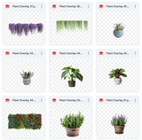 Greenhouse Background & Overlays Asset Pack