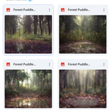 Forest Puddle Background Bundle