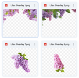 Magical Lilac Overlays