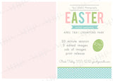 Easter Mini Session Banner & Flyer Template