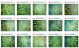 Ultimate Fine Art Shamrock Portrait Background Bundle